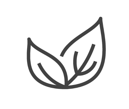 to leaves indicating 'vegan friendly'